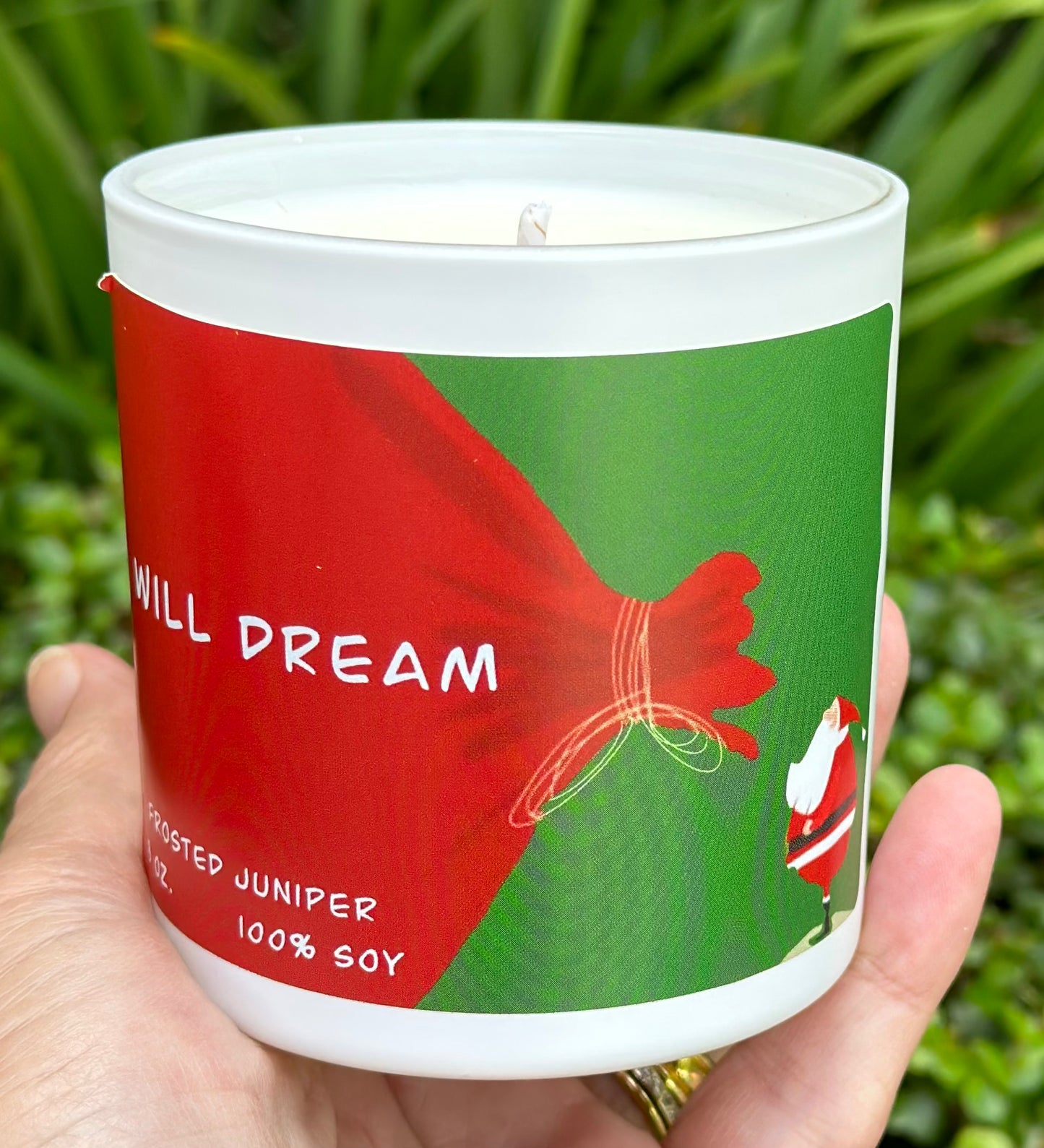 WILL DREAM: Frosted Juniper